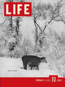 LIFE Magazine cover 2/8/1937 Winter on the range